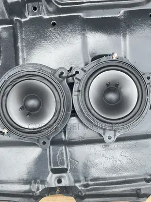 Door Speakers for Various Cars (Vitz ,Corrolla,Yaris, Rav4,Elantra