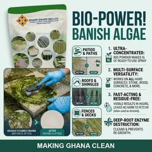 Pavement Cleaner for Green and Dark Stains on Pavement, Sidewalks.