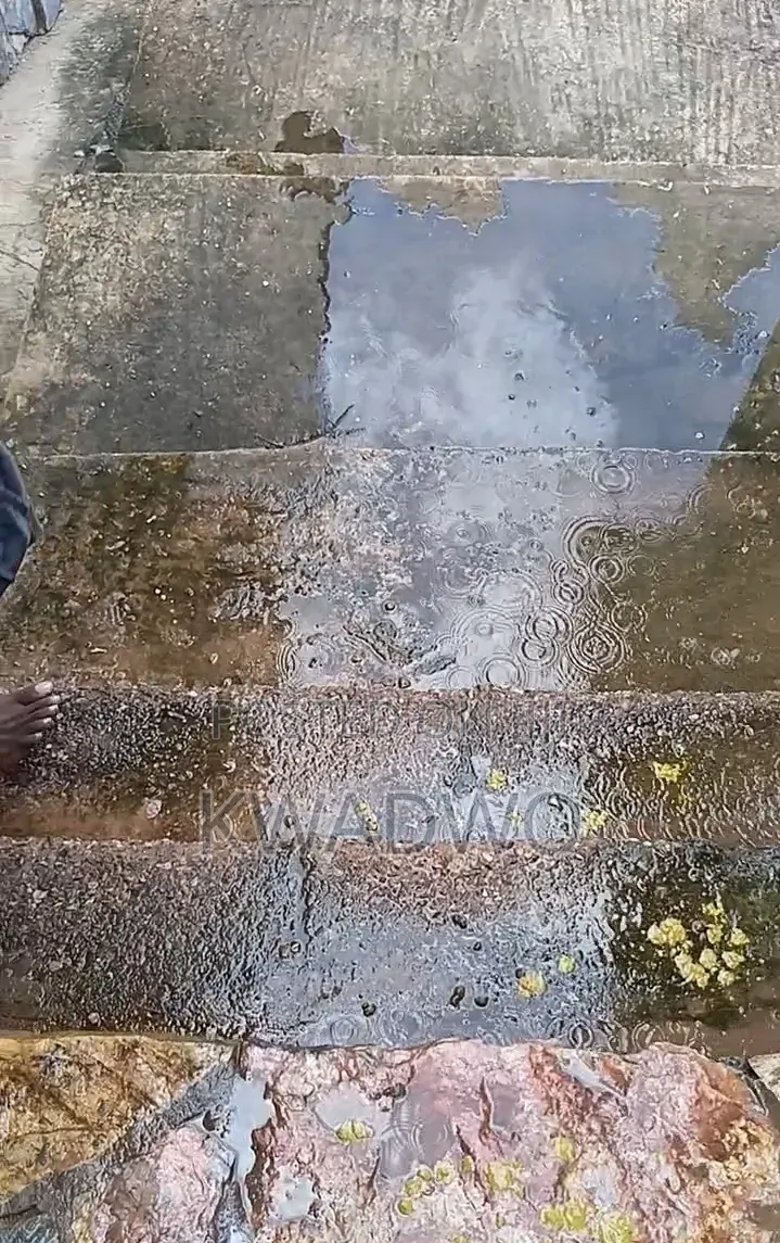 Pavement Cleaner for Green and Dark Stains on Pavement, Sidewalks.