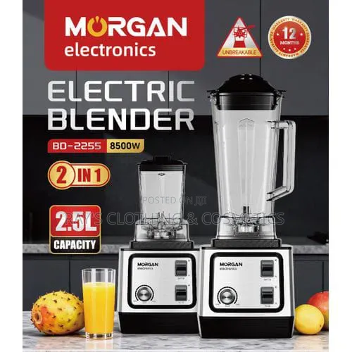 Morgan 2.5L 2 in 1 Electric Blender