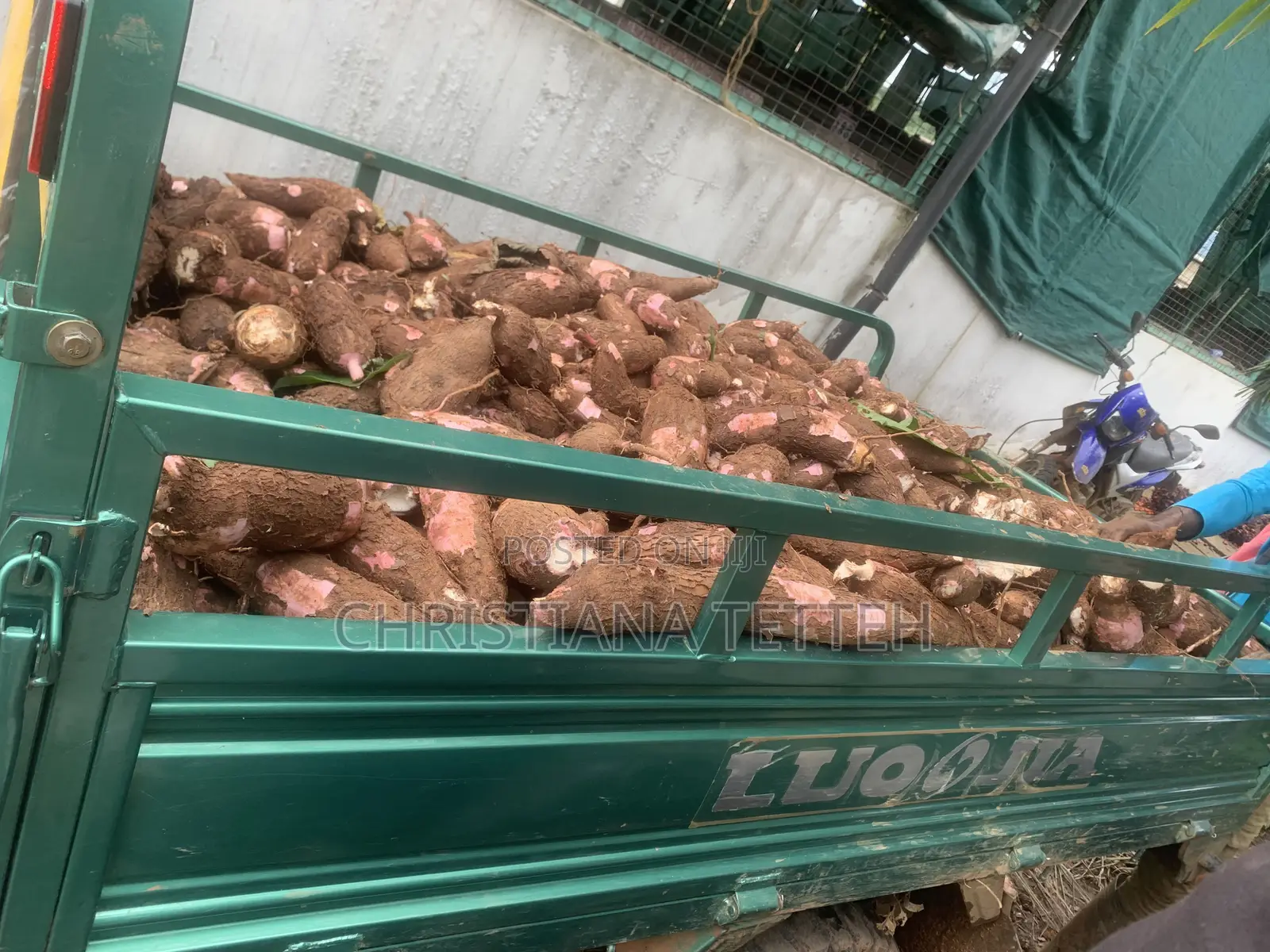 Organic Certified Farm Produce and Products