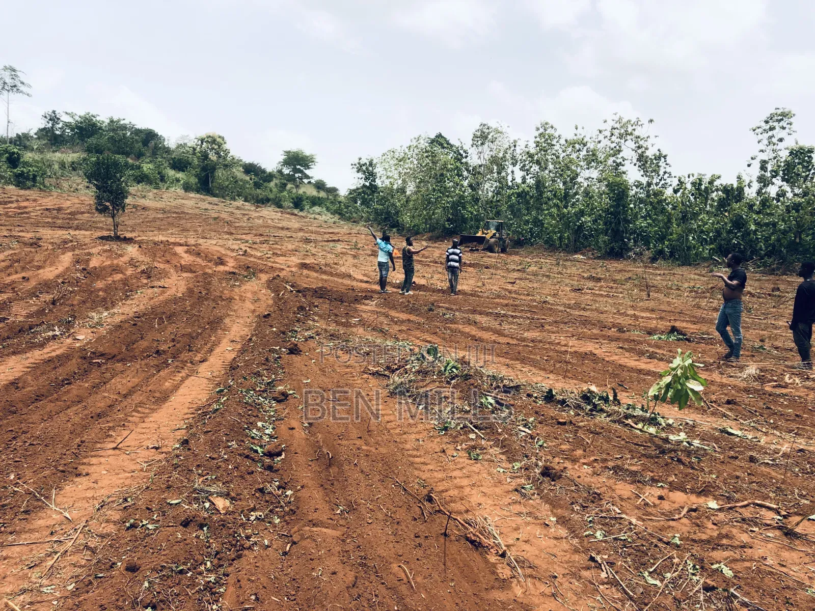Genuine Land for Sale at Kofi Kwei - Ayidan