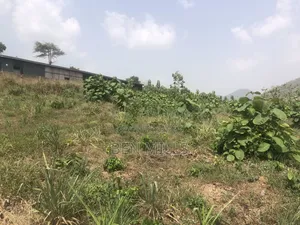 Genuine Land for Sale at Kofi Kwei - Ayidan