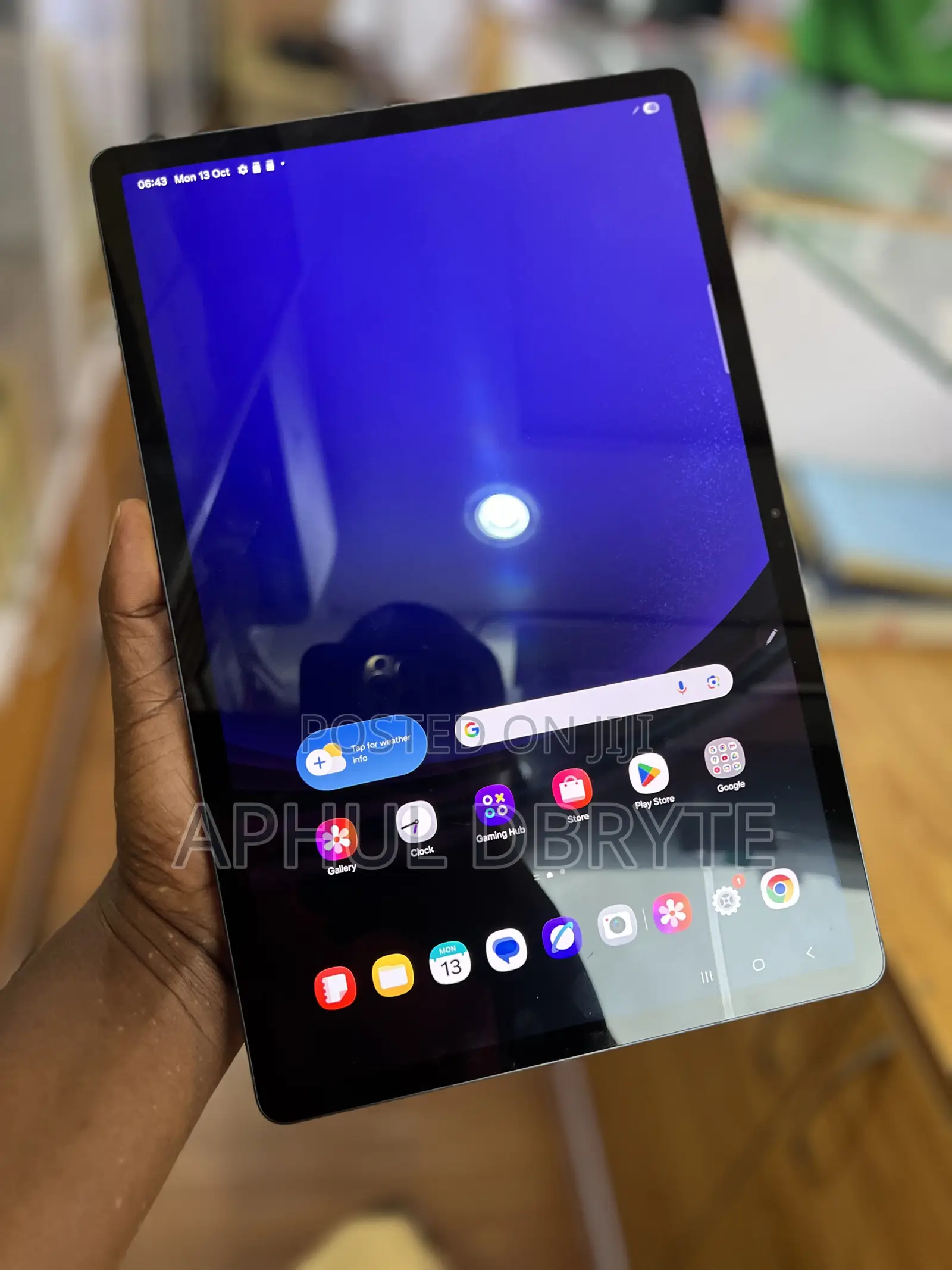 Samsung Galaxy Tab S9 FE+ 256 GB Gray