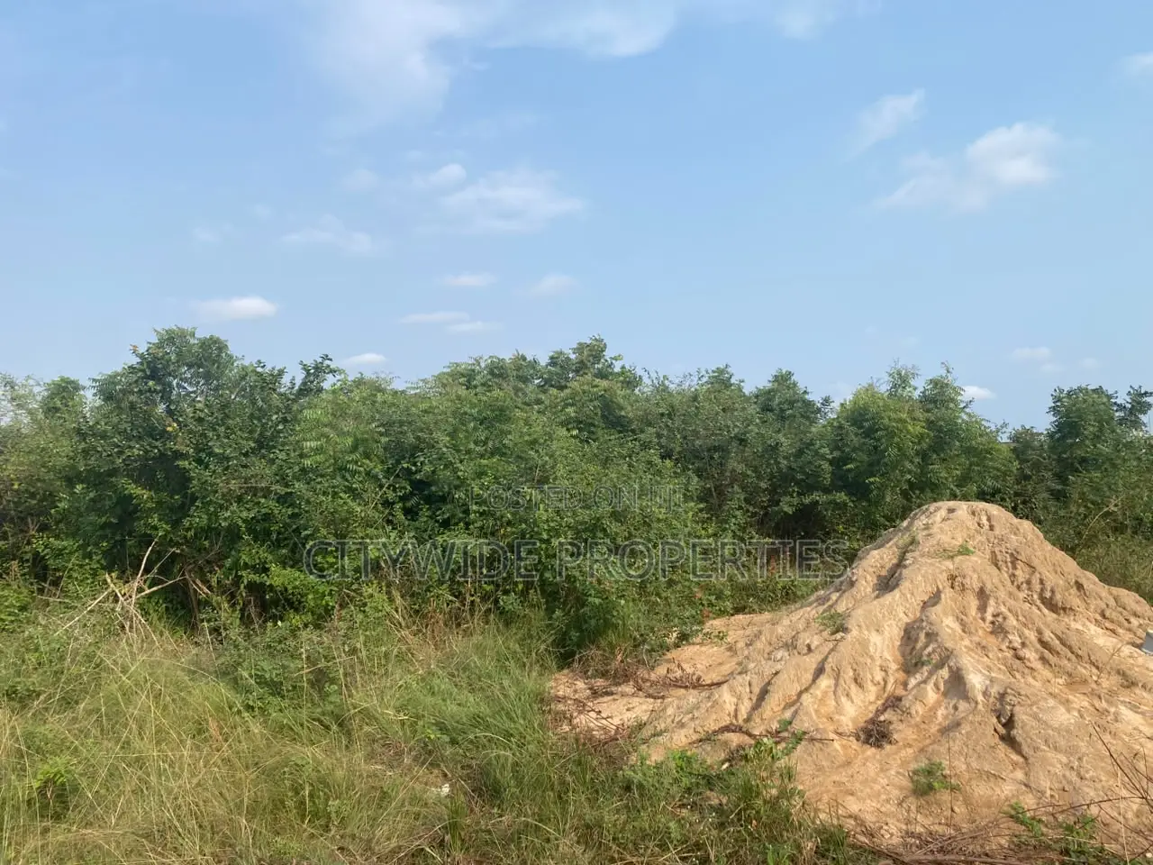 Cocoa Board Land for Sale at East Legon Hills