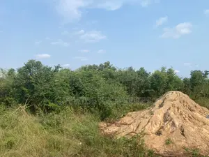 Cocoa Board Land for Sale at East Legon Hills