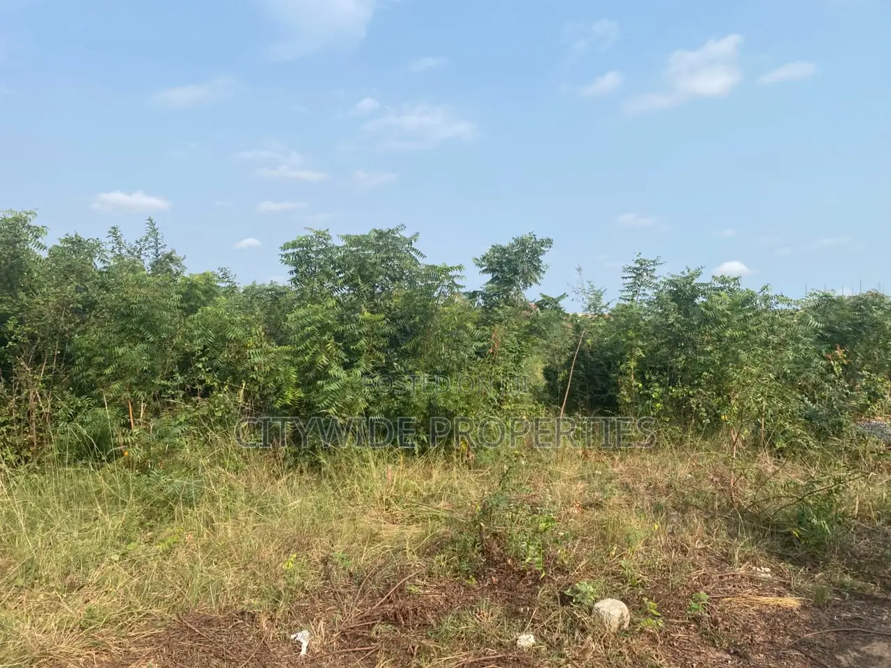 Cocoa Board Land for Sale at East Legon Hills