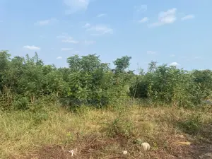 Cocoa Board Land for Sale at East Legon Hills