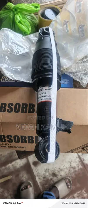Hyundai Santafi 2014 Back Shock