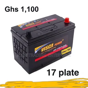 Visca Batteries All Sizes