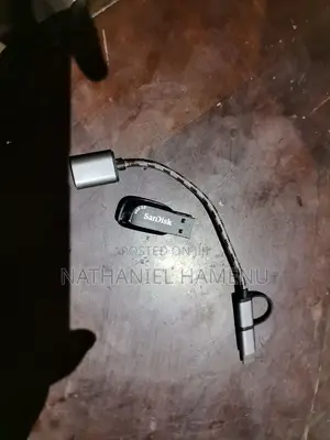 128 Gig Sandisk Pendrive With Otg Cable
