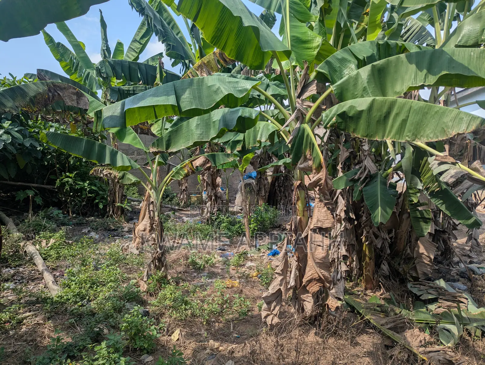 Land for Sale at Akotokyir