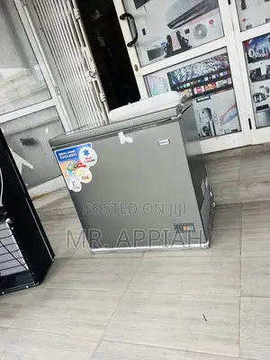 Classic Nasco Single Door Chest Freezer(Gray) Nas300fl