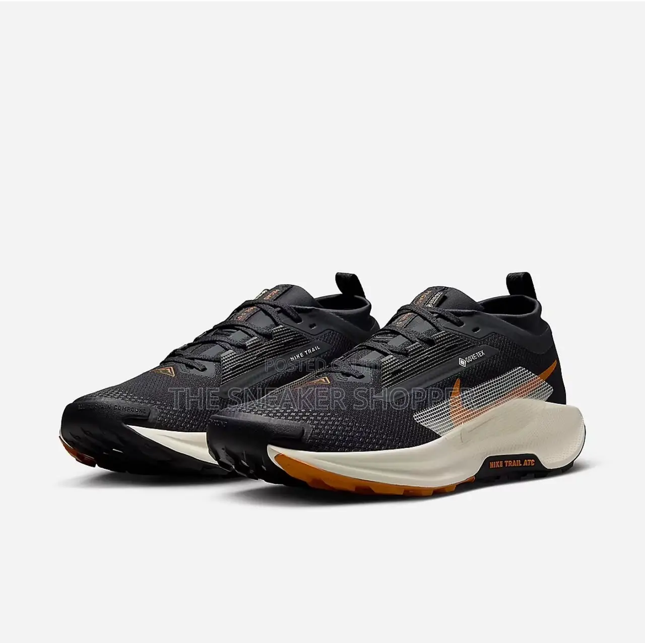 Nike Pegasus Trail 5 GORE-TEX Waterproof