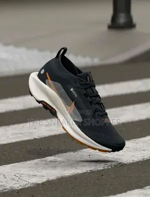 Nike Pegasus Trail 5 GORE-TEX Waterproof