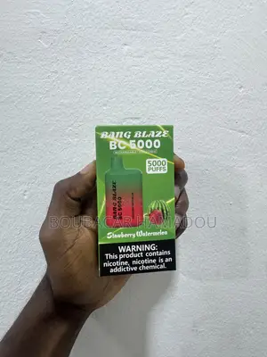 Bang Blaze 5000 Puffs Rechargeable Disposable Vape-Strawbery