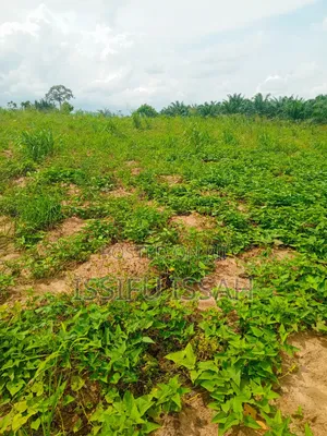 Three Plots of Land for Sale at Dominase Gomoa West