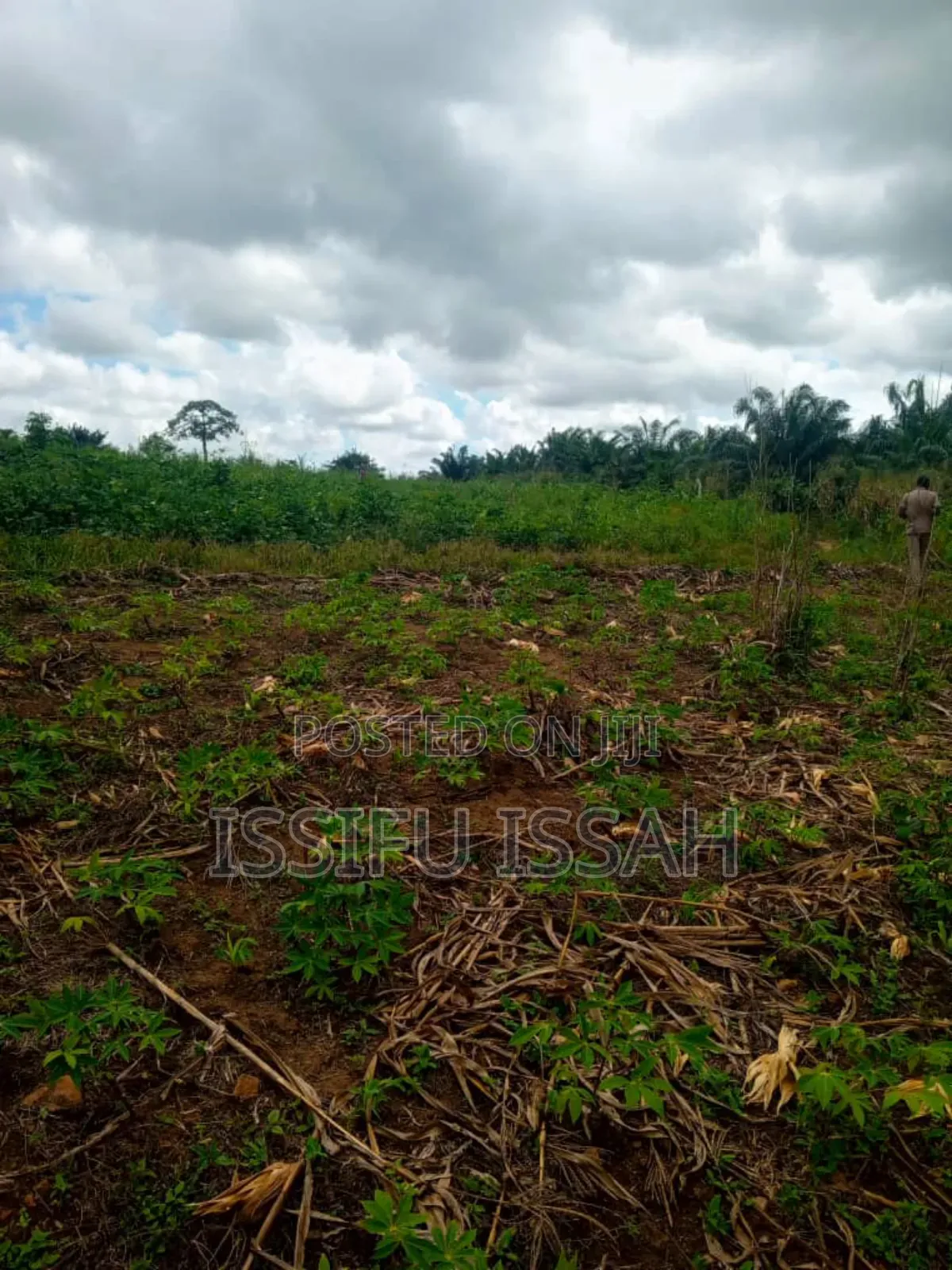 Three Plots of Land for Sale at Dominase Gomoa West