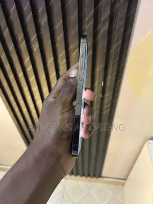 Apple iPhone 12 Pro Max 128 GB