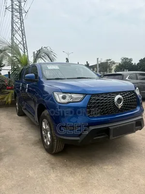 Great Wall Pao 2021 Blue
