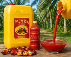 Palm Oil 25 Litre in Bulk