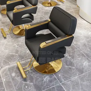 Salon Chair