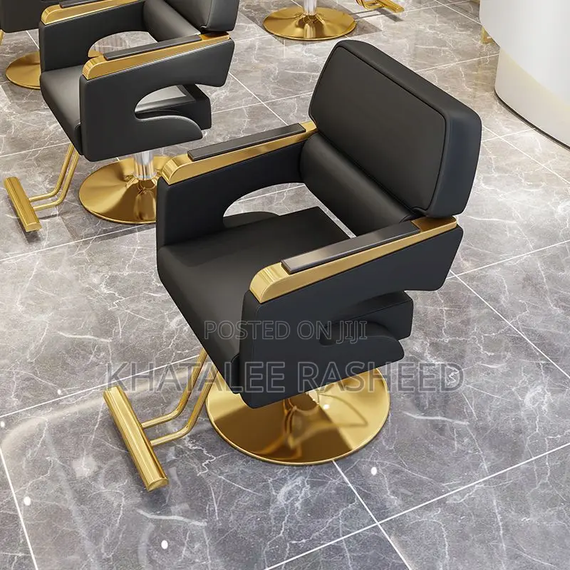 Salon Chair