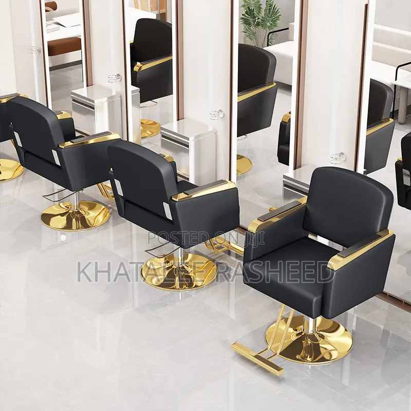 Salon Chair