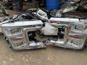 Ford F150 Headlight Pair