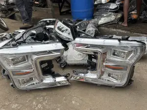 Ford F150 Headlight Pair