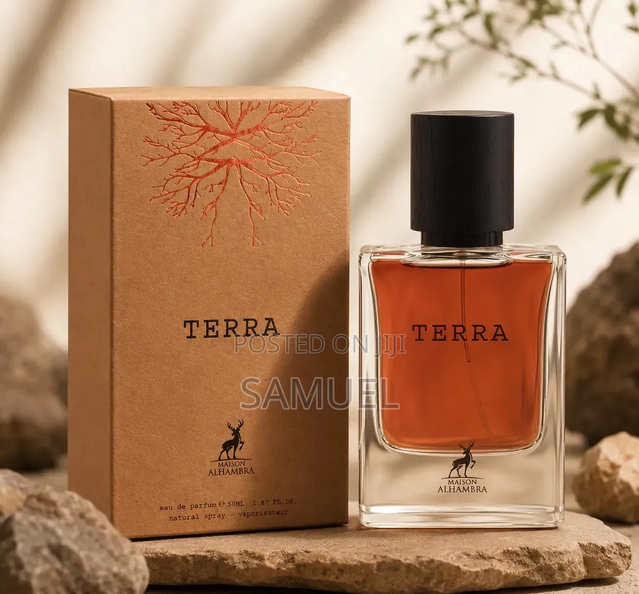 Perfume Fragrance for Men - Affordable Price