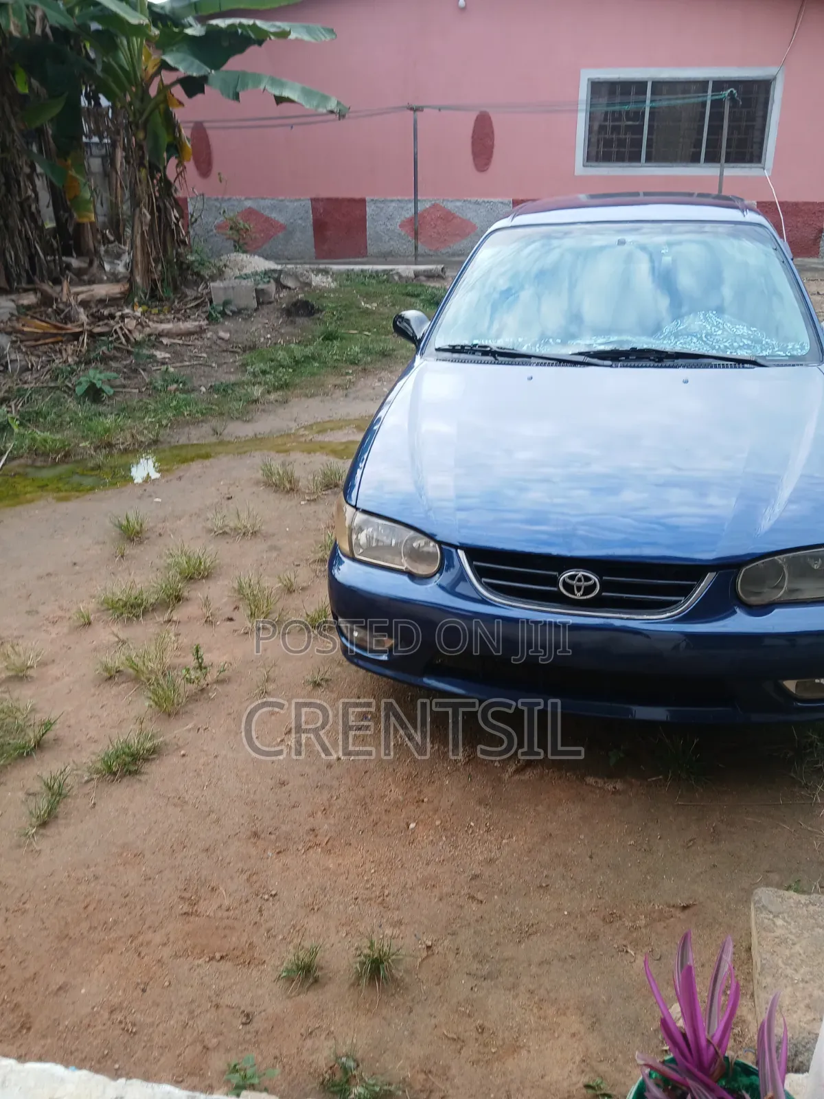 Toyota Corolla 2002 Blue