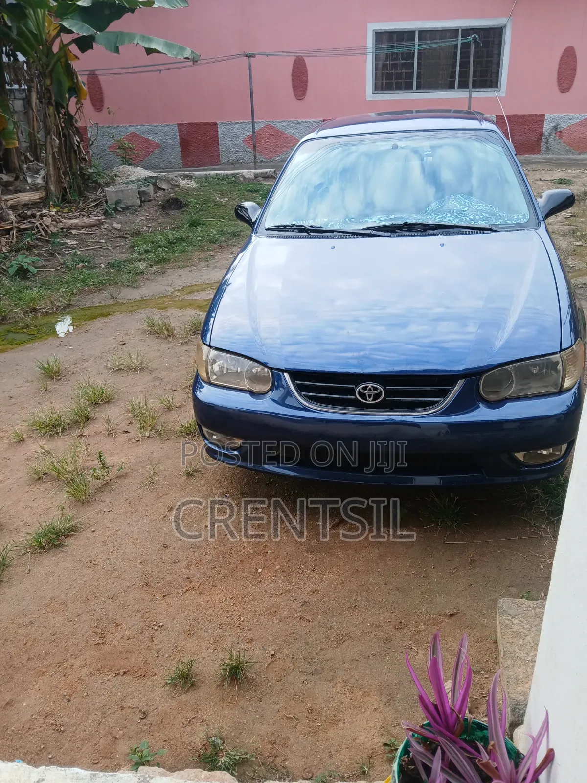 Toyota Corolla 2002 Blue