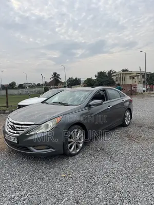 Hyundai Sonata 2013 Gray
