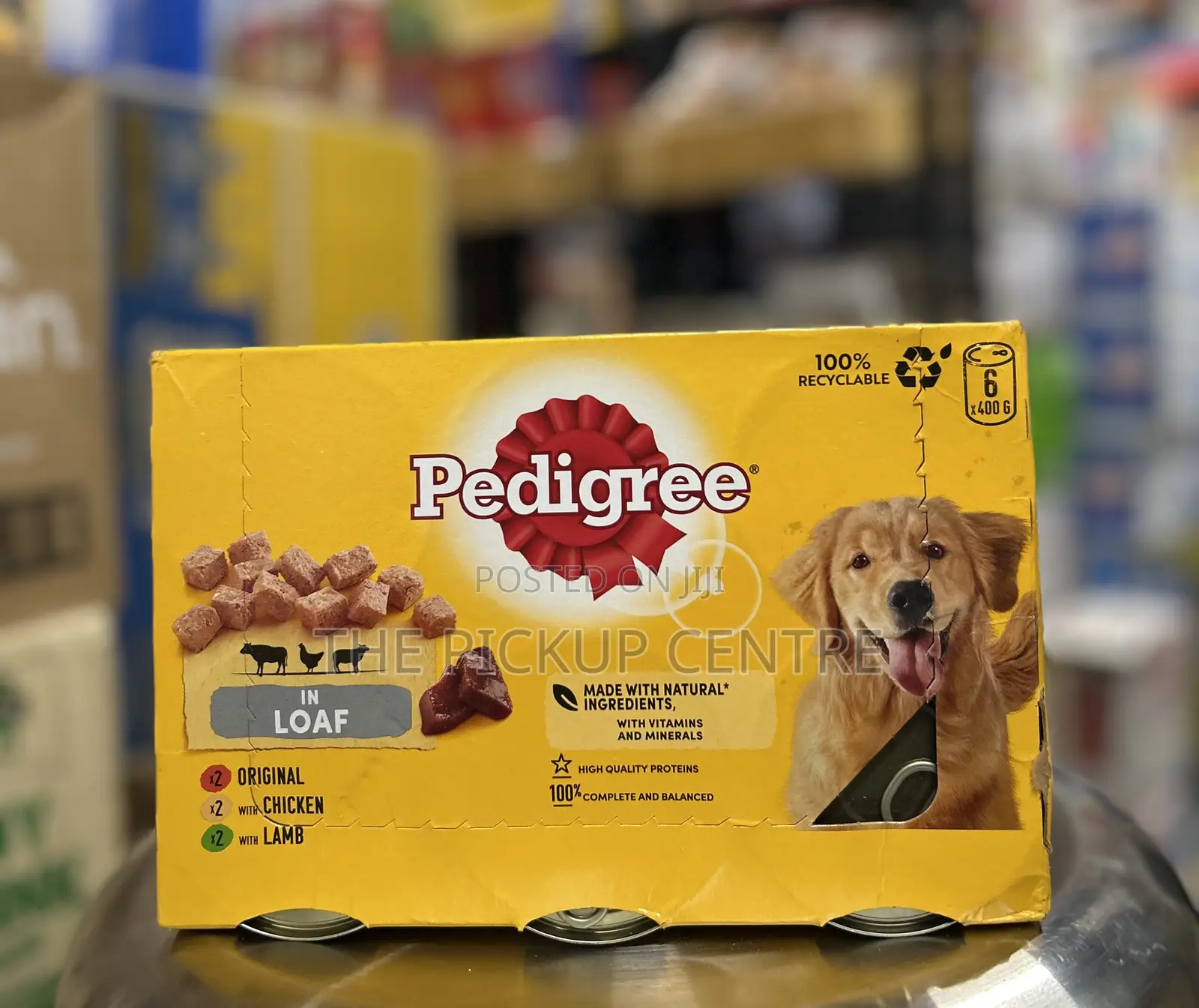 1+ year Male Purebred Dog