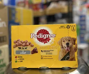 1+ year Male Purebred Dog