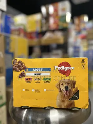 1+ year Male Purebred Dog