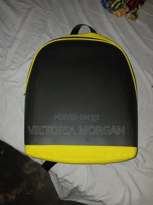 This Is the Crony T2 AD LED Display Backpack,