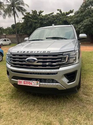 Ford Expedition 2019 Gray