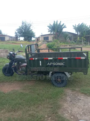 Apsonic AP150ZH-20H 2023 Green