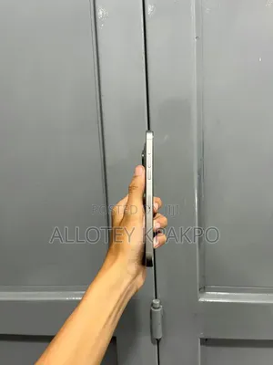 Apple iPhone 15 Pro Max 256 GB Silver