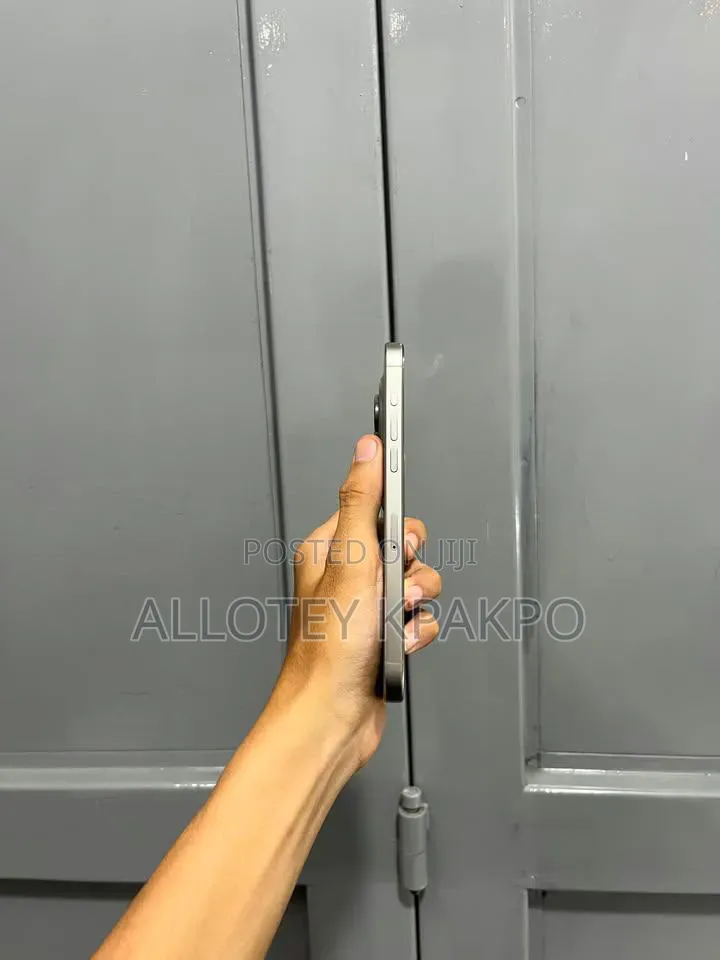Apple iPhone 15 Pro Max 256 GB Silver