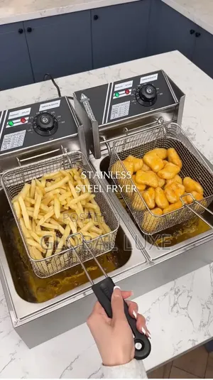 Double Deep Fryer – Dual Basket Electric Frying Machine