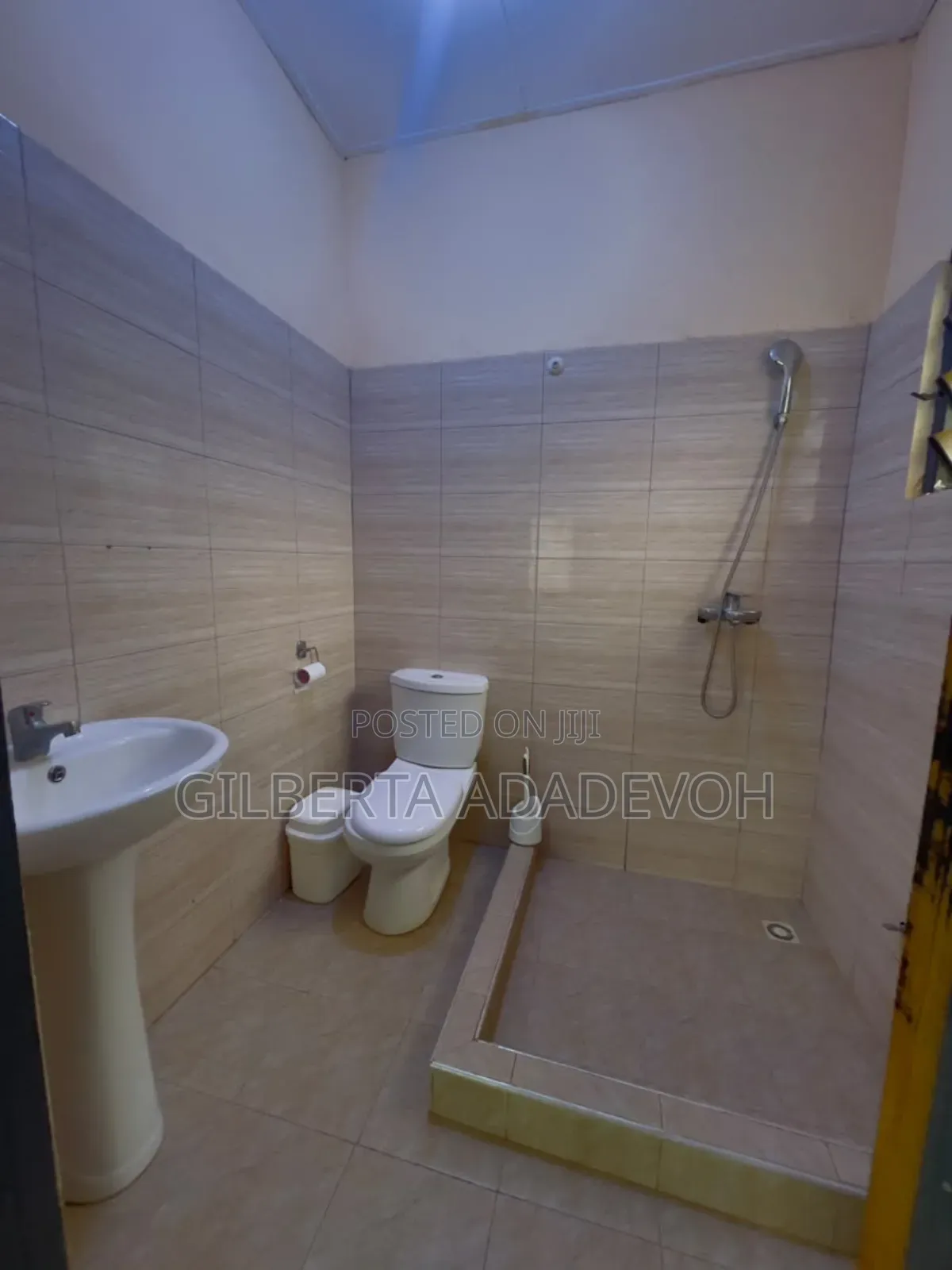 1bdrm Apartment in Borga Homes, Danfa for rent