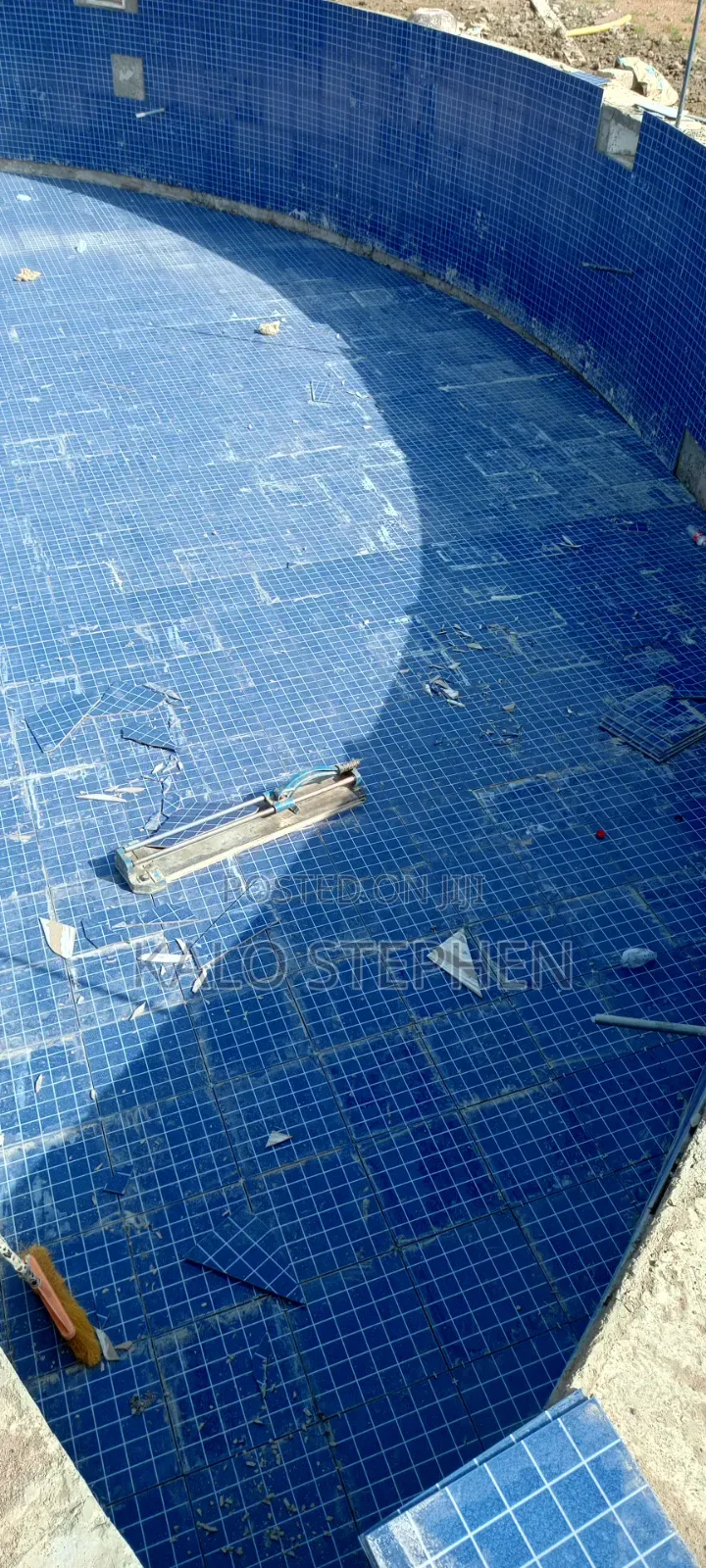 Swimming Pool Contractor