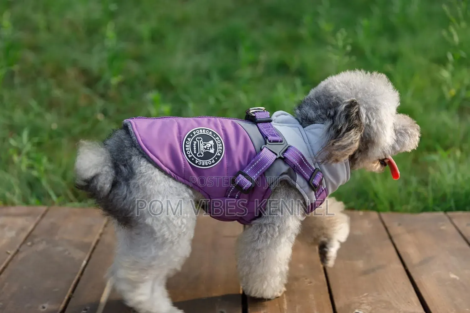 Dog Coat With Built-in Harness