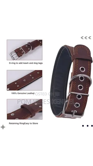 Leather Dog Collar