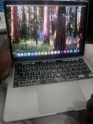 Laptop Apple MacBook Pro 2020 8GB Intel Core i5 SSD 256GB