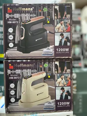 Electric Steamer Iron