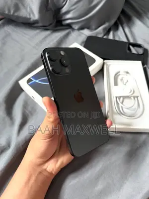 Apple iPhone 16 Pro Max 256 GB Gray